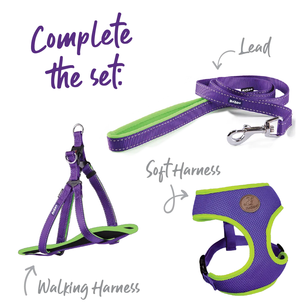 Active Walking Dog Harness - Purple & Lime