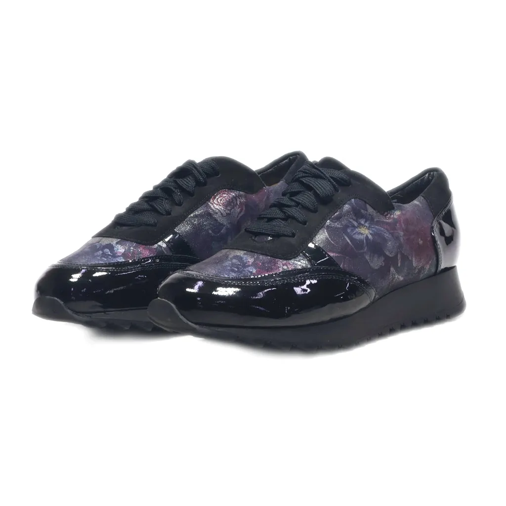 Hassia Low-Top Sneakers Leather Black Colour For Women