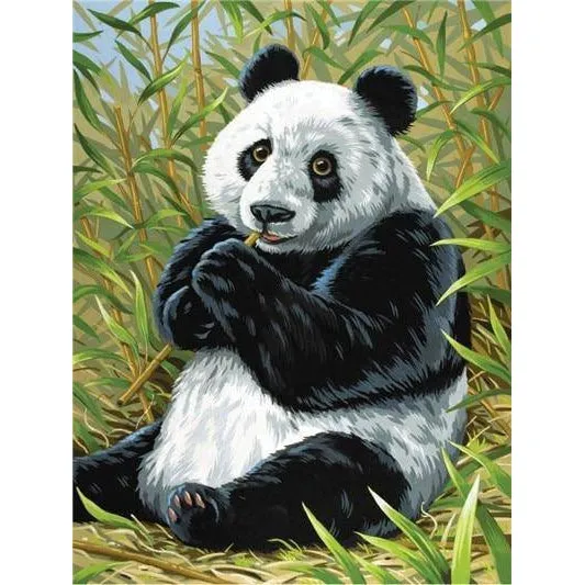 Panda Eating Bamboo